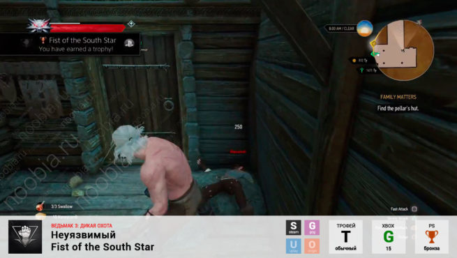 Трофей "Неуязвимый / Fist of the South Star" в The Witcher 3: Wild Hunt (Steam, GOG, PlayStation, Xbox)